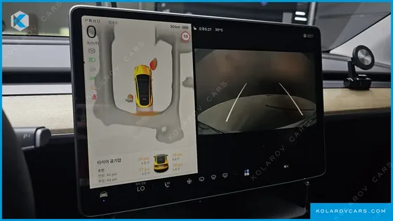 TESLA MODEL Y RWD