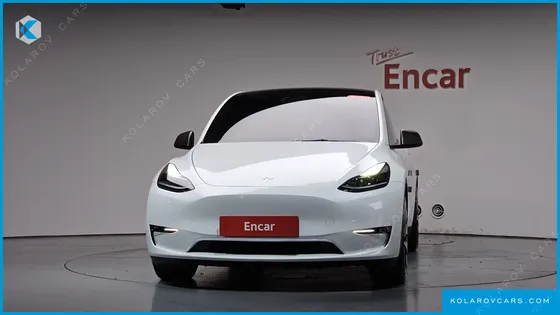 TESLA MODEL Y PERFORMANCE AWD