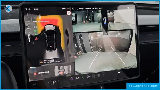 TESLA MODEL Y RWD