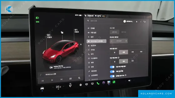TESLA MODEL Y LONG RANGE AWD