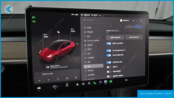 TESLA MODEL Y LONG RANGE AWD