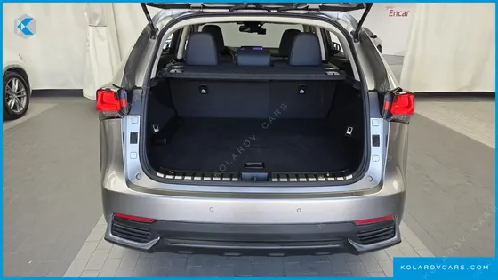 LEXUS NX SUPREME