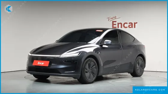 TESLA MODEL Y LONG RANGE AWD
