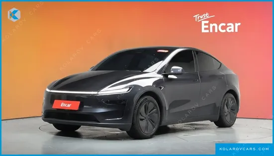 TESLA MODEL Y LONG RANGE AWD