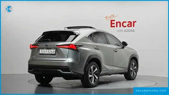 LEXUS NX EXECUTIVE