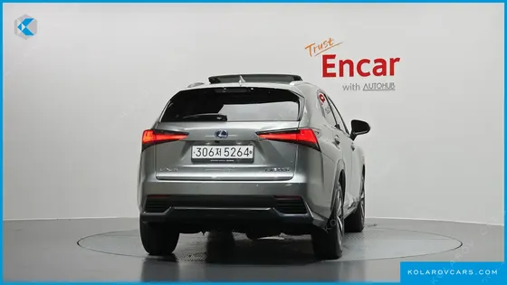 LEXUS NX EXECUTIVE
