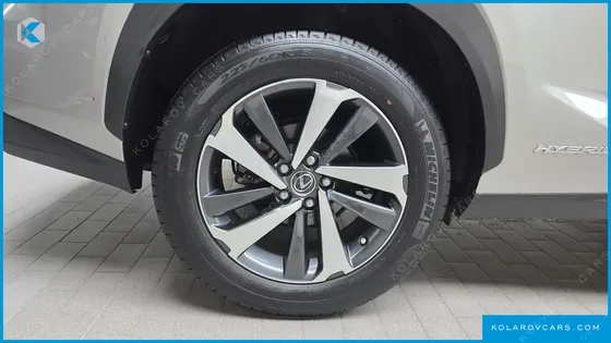 LEXUS NX EXECUTIVE