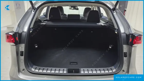 LEXUS NX EXECUTIVE