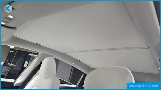 TESLA MODEL Y RWD