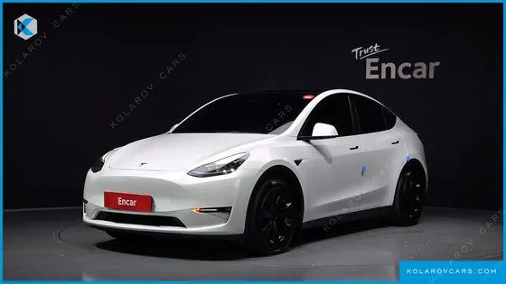 TESLA MODEL Y LONG RANGE AWD