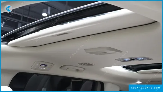 KIA CARNIVAL GASOLINE 9-SEATER GRAVITY