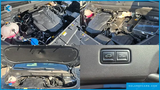 KIA CARNIVAL GASOLINE 7-SEATER HI LIMOUSINE (SPECIAL VEHICLE)