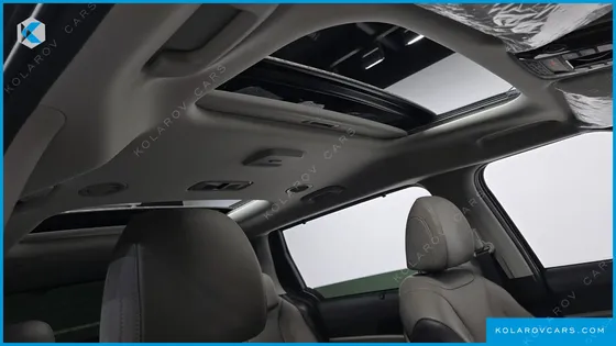 KIA CARNIVAL GASOLINE 9-SEATER GRAVITY