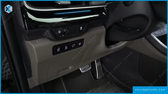 KIA CARNIVAL GASOLINE 9-SEATER GRAVITY
