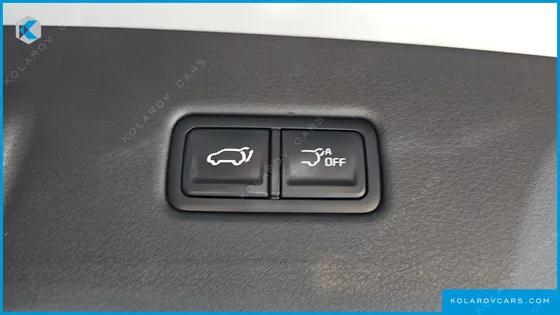 KIA CARNIVAL DIESEL 9-SEATER HI LIMOUSINE (SPECIAL VEHICLE)