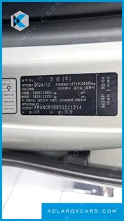 KIA CARNIVAL DIESEL 9-SEATER HI LIMOUSINE (SPECIAL VEHICLE)
