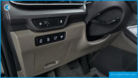 KIA CARNIVAL DIESEL 9-SEATER HI LIMOUSINE (SPECIAL VEHICLE)