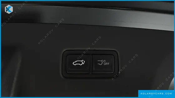 KIA CARNIVAL HEV 9SEATER GRAVITY