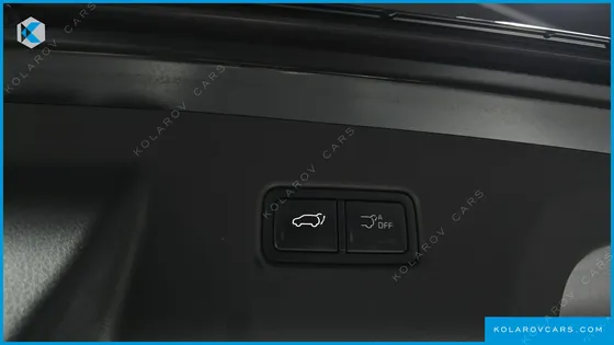 KIA CARNIVAL HEV 9SEATER GRAVITY