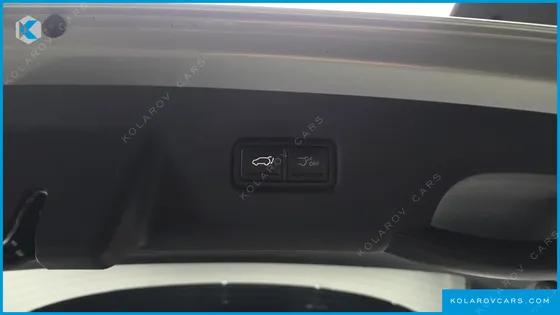 KIA CARNIVAL HEV 9SEATER NOBLESS
