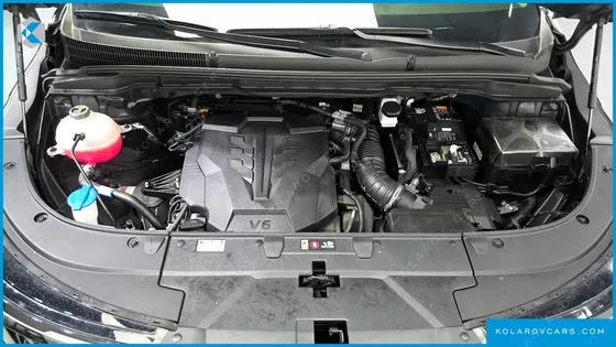KIA CARNIVAL GASOLINE 4-SEATER HI LIMOUSINE