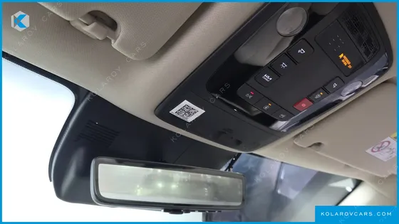 KIA CARNIVAL GASOLINE 4-SEATER HI LIMOUSINE