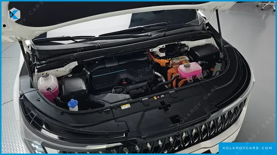 KIA CARNIVAL HEV 7-SEATER HI LIMOUSINE