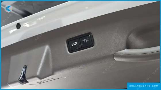 KIA CARNIVAL GASOLINE 9-SEATER GRAVITY