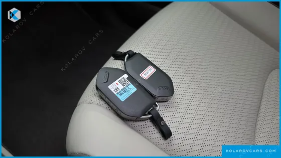 KIA CARNIVAL GASOLINE 7-SEATER SIGNATURE
