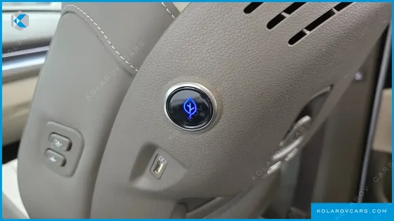 KIA CARNIVAL GASOLINE 7-SEATER HI-LIMOUSINE