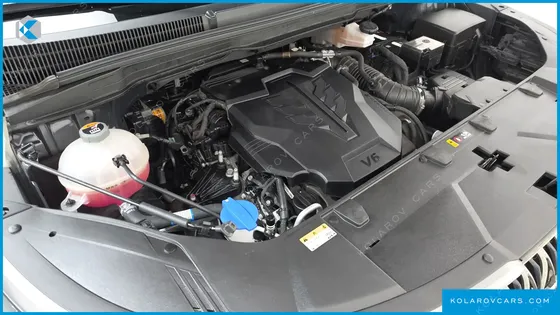 KIA CARNIVAL GASOLINE 9-SEATER HI-LIMOUSINE