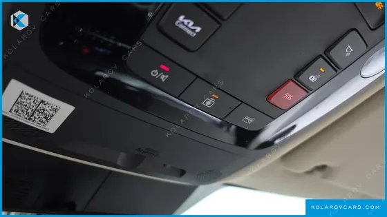 KIA CARNIVAL GASOLINE 9-SEATER HI-LIMOUSINE