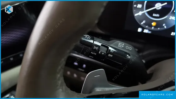 KIA CARNIVAL GASOLINE 9-SEATER HI-LIMOUSINE