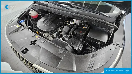 KIA CARNIVAL DIESEL 9-SEATER HI-LIMOUSINE(SPECIAL VEHICLE)