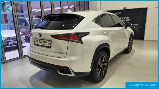 LEXUS NX EXECUTIVE