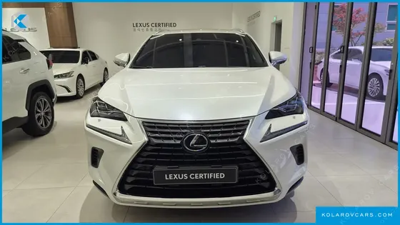 LEXUS NX EXECUTIVE