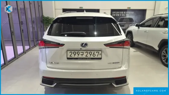 LEXUS NX EXECUTIVE