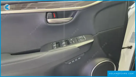 LEXUS NX EXECUTIVE