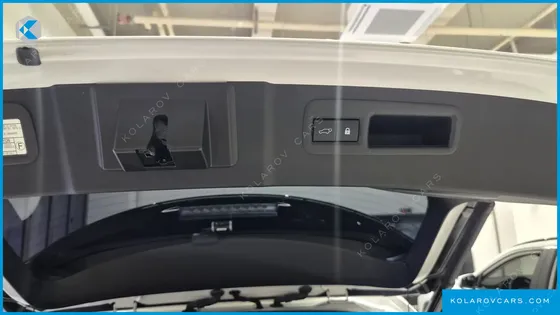 LEXUS NX EXECUTIVE
