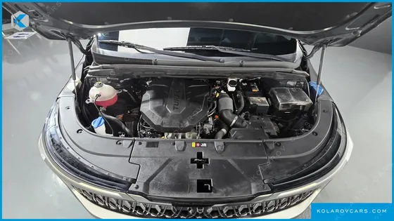 KIA CARNIVAL DIESEL 9-SEATER NOBLESSE