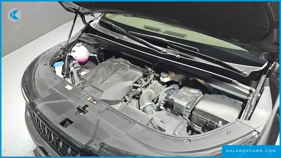 KIA CARNIVAL GASOLINE 7-SEATER SIGNATURE