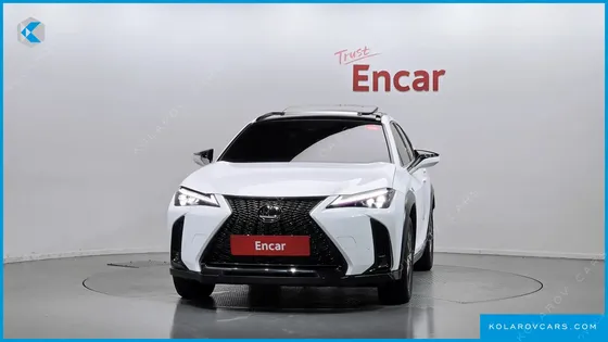 LEXUS UX 2.0 F-SPORT 2WD