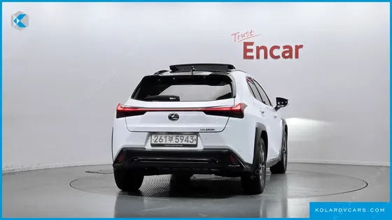 LEXUS UX 2.0 F-SPORT 2WD