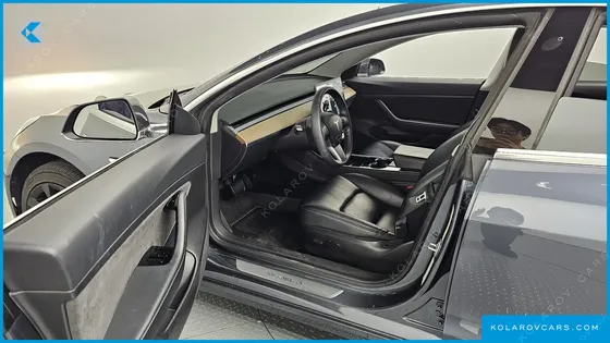 TESLA MODEL 3 STANDARD RANGE PLUE RWD
