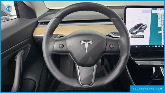 TESLA MODEL 3 STANDARD RANGE PLUE RWD