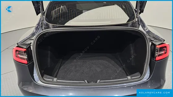 TESLA MODEL 3 STANDARD RANGE PLUE RWD