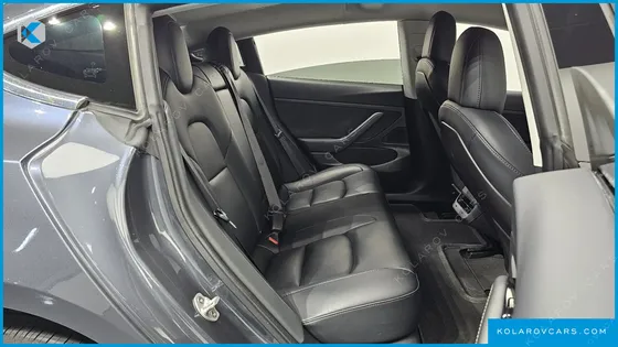 TESLA MODEL 3 STANDARD RANGE PLUE RWD