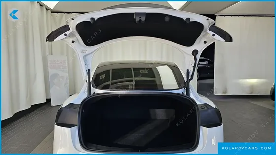 TESLA MODEL 3 PERFORMANCE AWD