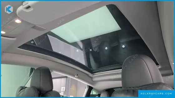 TESLA MODEL Y RWD