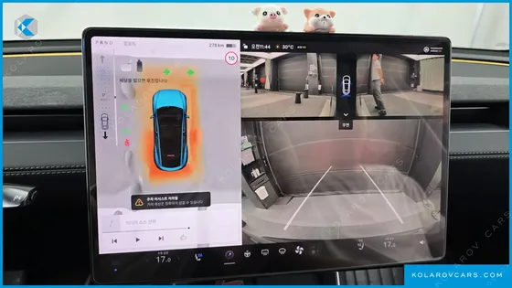 TESLA MODEL Y RWD